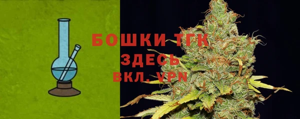 мдпв Бородино