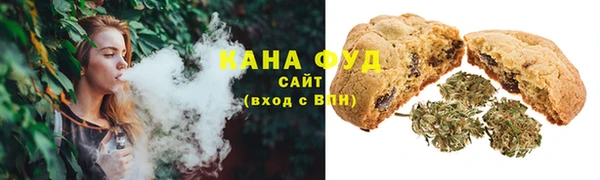 мдпв Бородино