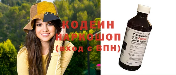 мдпв Бородино