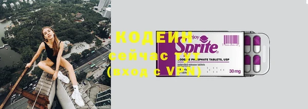 мдпв Бородино