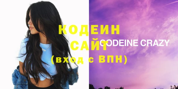 мдпв Бородино