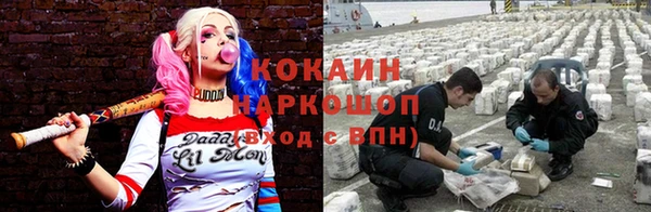 мдпв Бородино