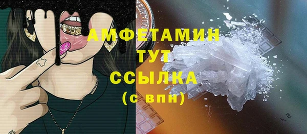мдпв Бородино