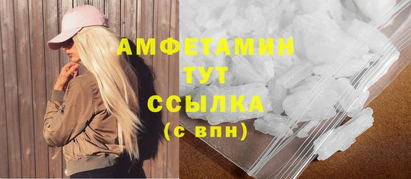 мдпв Бородино