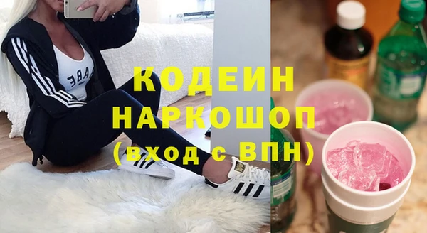 мдпв Бородино