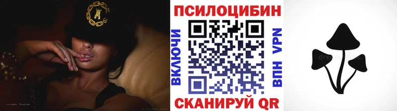 Галлюциногенные грибы мицелий  продажа наркотиков  Вельск 
